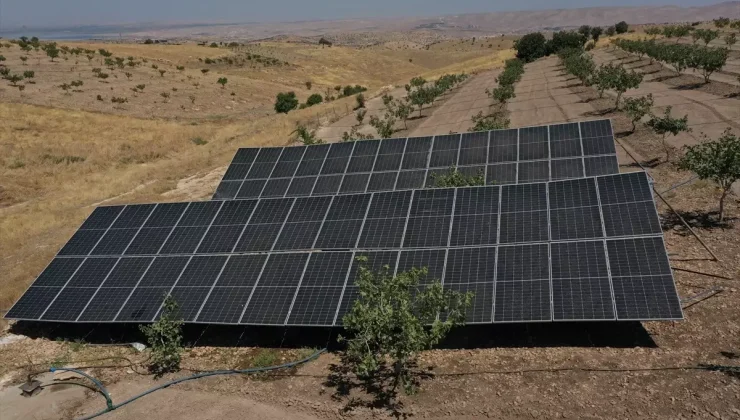 Batman’da çiftçiler güneş enerjisi santrali ile enerji maliyetini düşürdü